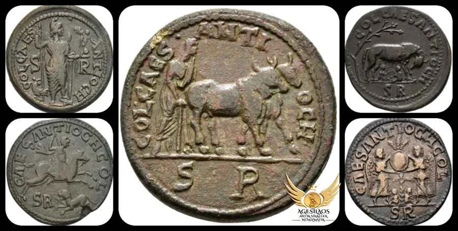 Agesilaos Antik Sikkeler Nümizmatik_SLNK.webp