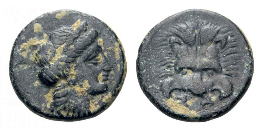 Agesilaos Antik Sikkeler Nümizmatik_SMS (5).jpg