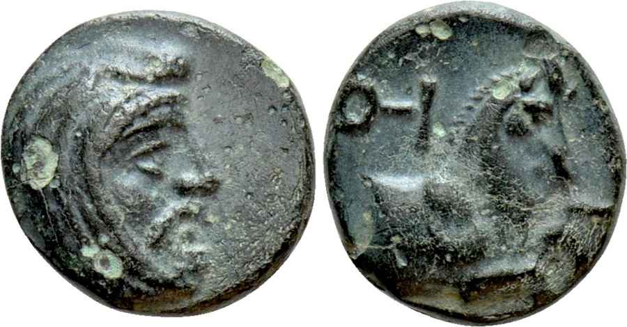 Agesilaos Antik Sikkeler Nümizmatik_SP (17).jpg