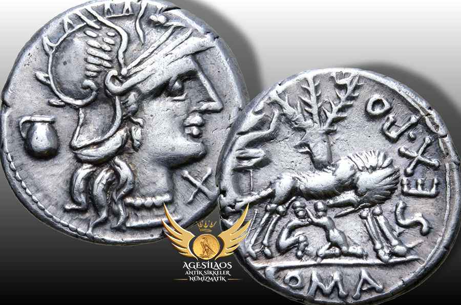 Agesilaos Antik Sikkeler Nümizmatik_SPF.jpg