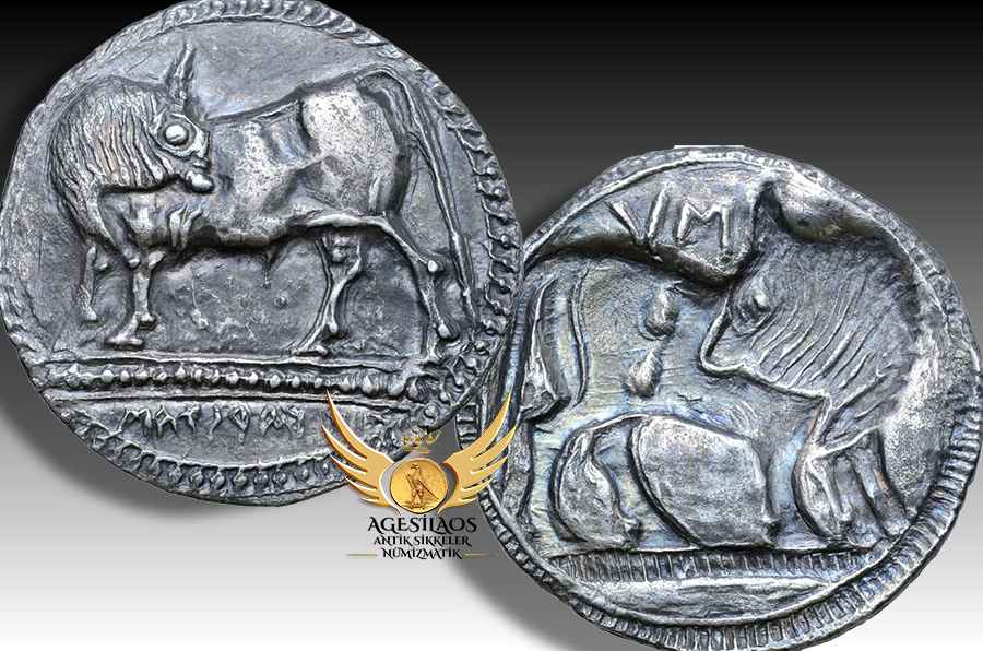 Agesilaos Antik Sikkeler Nümizmatik_SYB.jpg