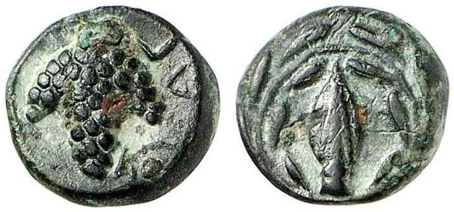 Agesilaos Antik Sikkeler Nümizmatik_SYN (4).jpg