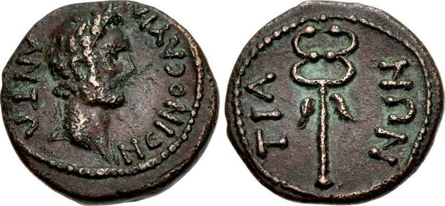 Agesilaos Antik Sikkeler Nümizmatik_TEI (15).jpg