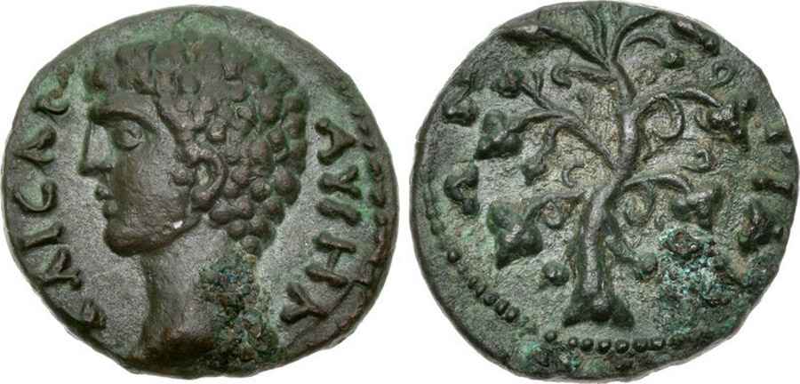 Agesilaos Antik Sikkeler Nümizmatik_TEI (16).jpg