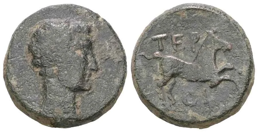 Agesilaos Antik Sikkeler Nümizmatik_TERM (1).webp