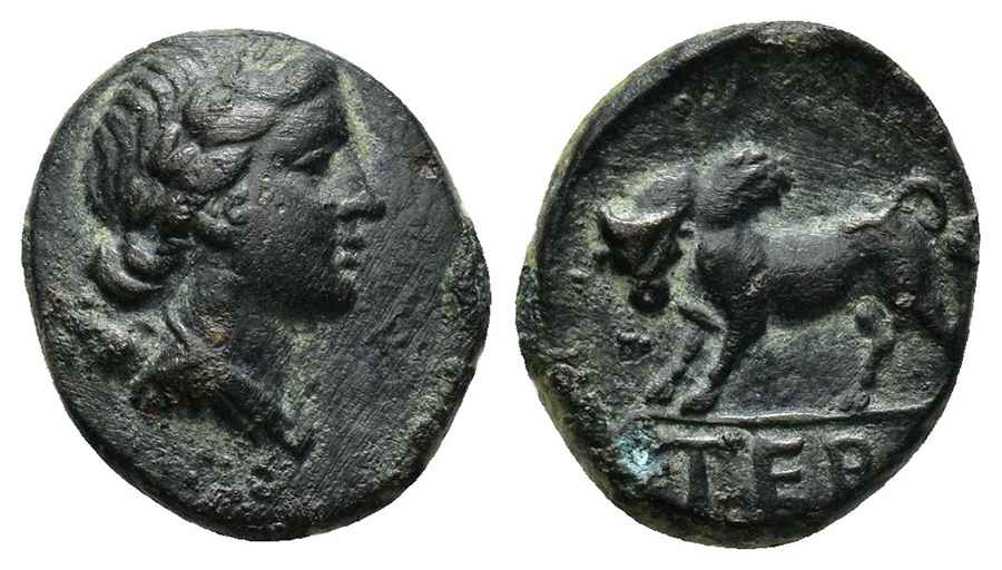 Agesilaos Antik Sikkeler Nümizmatik_TERM (3).jpg