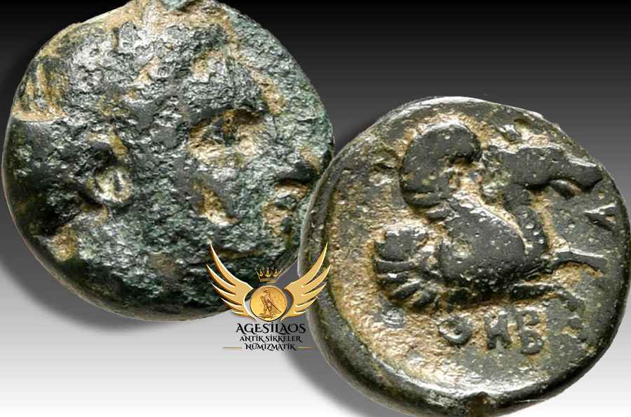 Agesilaos Antik Sikkeler Nümizmatik_THEB.jpg