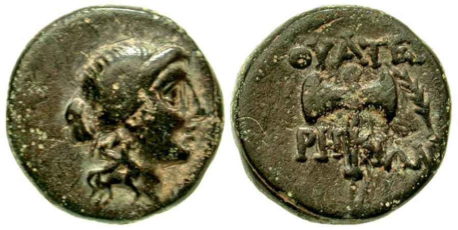 Agesilaos Antik Sikkeler Nümizmatik_THY (4).jpg