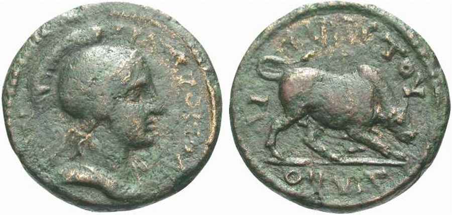 Agesilaos Antik Sikkeler Nümizmatik_TRA (7).jpg