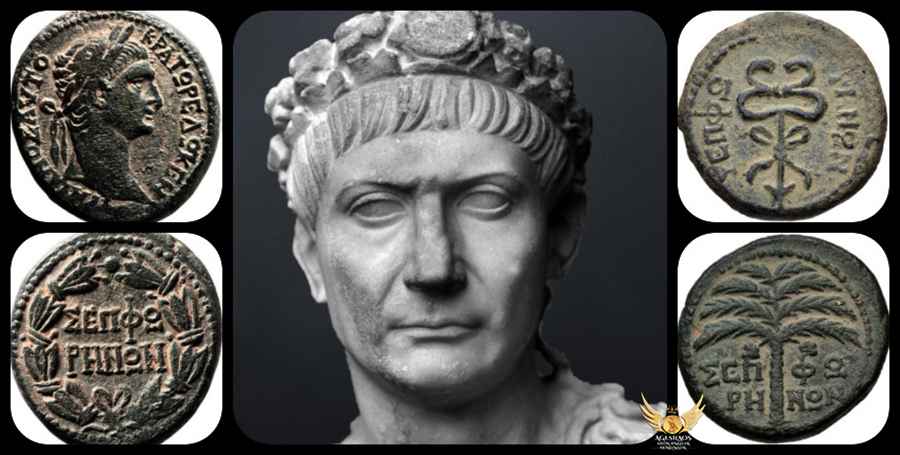 Agesilaos Antik Sikkeler Nümizmatik_TRJ.jpeg