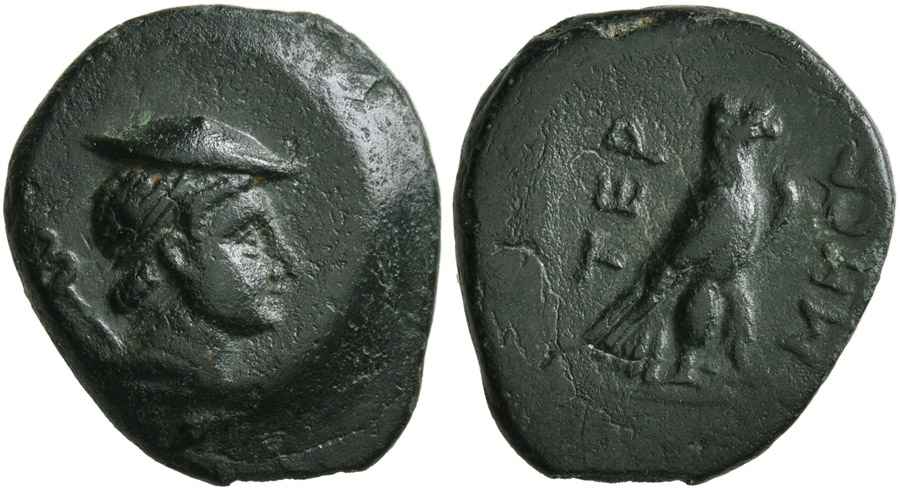 Agesilaos Antik Sikkeler Nümizmatik_TRM (3).jpg