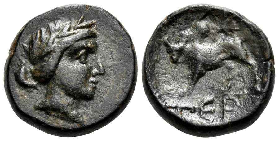 Agesilaos Antik Sikkeler Nümizmatik_TRM (6).jpg