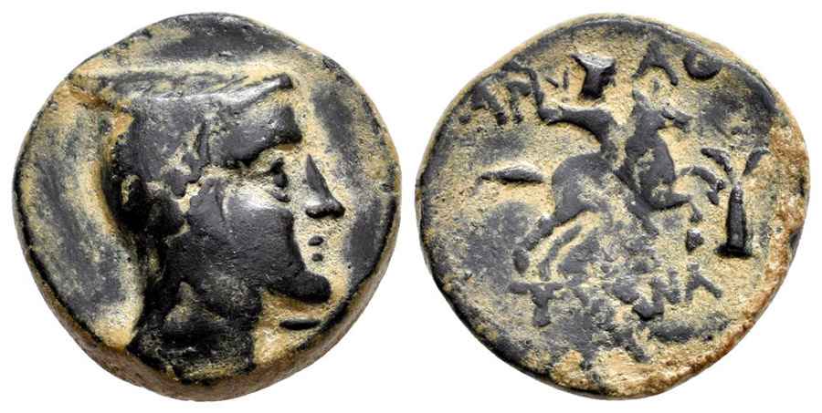 Agesilaos Antik Sikkeler Nümizmatik_TYAN (8).jpg