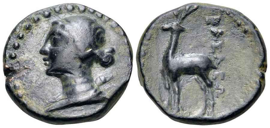 Agesilaos Antik Sikkeler Nümizmatik_TYAN (9).jpg