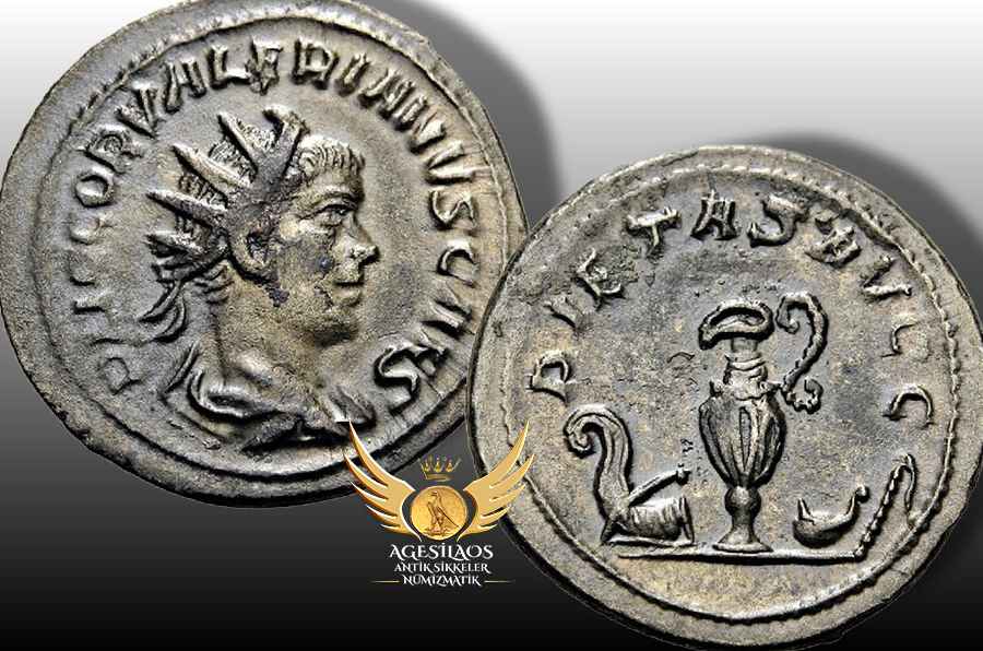 Agesilaos Antik Sikkeler Nümizmatik_VII.jpg