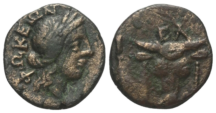 ANTİK SİKKELER NÜMİZMATİK (22).jpg