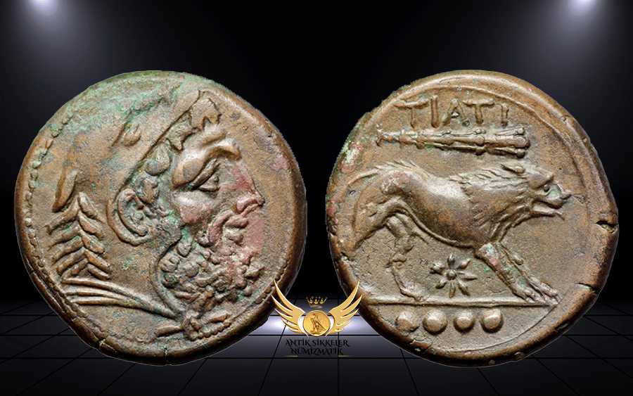 ANTİK SİKKELER NÜMİZMATİK.jpg