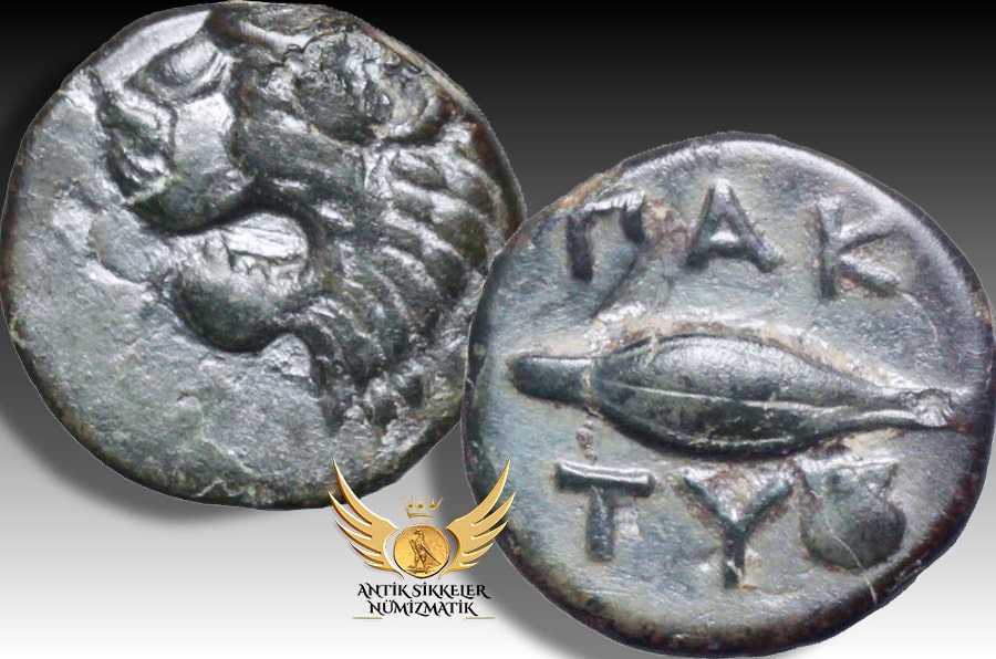 ANTİK SİKKELER NÜMİZMATİK.jpg