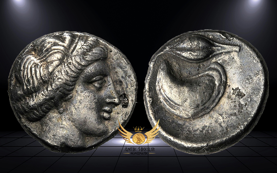 ANTİK SİKKELER NÜMİZMATİK.jpg