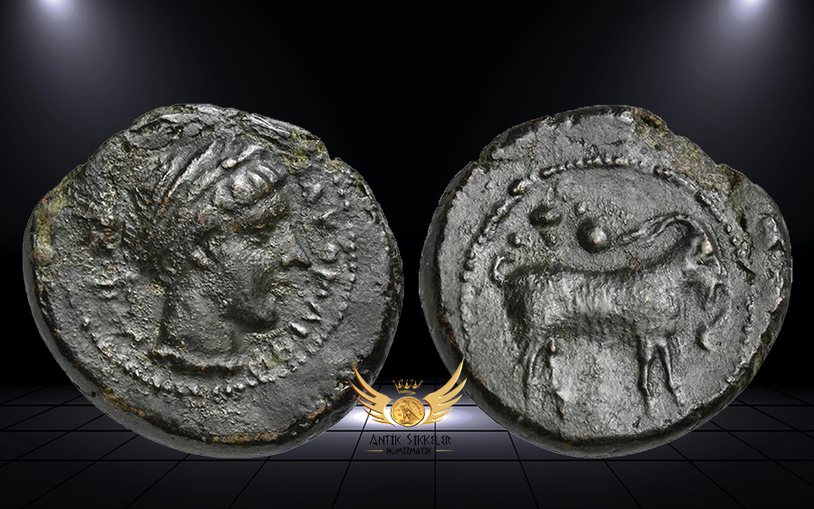 ANTİK SİKKELER NÜMİZMATİK.jpg