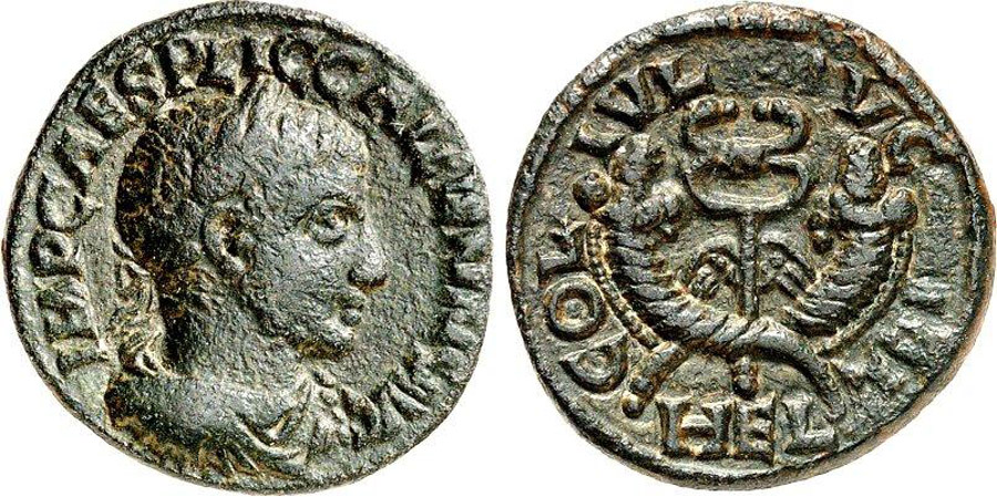 ANTİK SİKKELER NÜMİZMATİK_ Baalbek8 (7).jpg