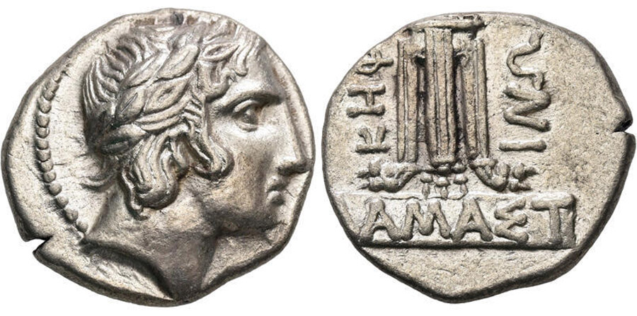 ANTİK SİKKELER NÜMİZMATİK_ Damastion  (26).jpg