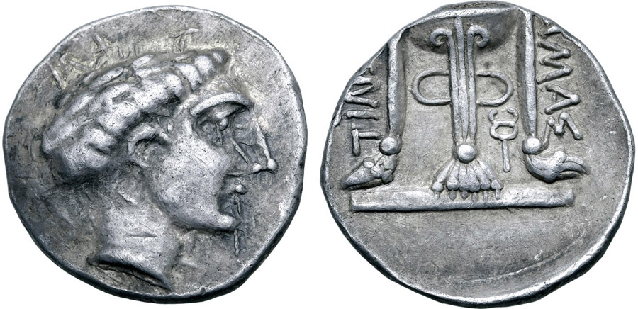 ANTİK SİKKELER NÜMİZMATİK_ Damastion  (30).jpg