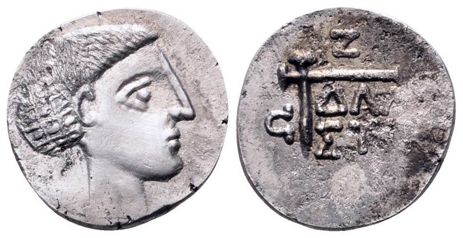 ANTİK SİKKELER NÜMİZMATİK_ Damastion  (9).jpg