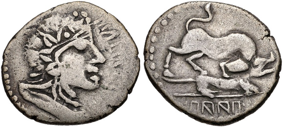 ANTİK SİKKELER NÜMİZMATİK_ Papius Mutilus (4).jpg