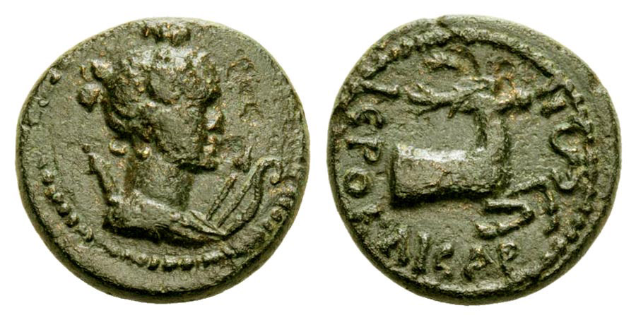 ANTİK SİKKELER NÜMİZMATİK_04F (1).jpg