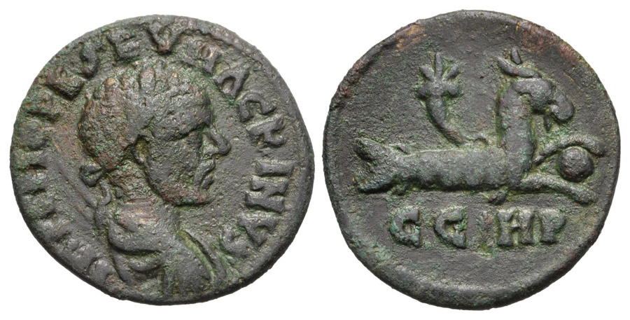 ANTİK SİKKELER NÜMİZMATİK_0945f78 (3).jpg