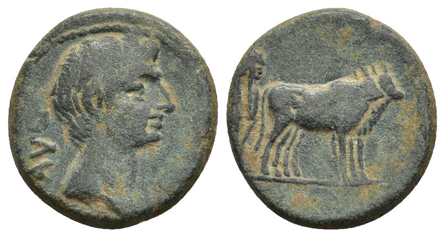 ANTİK SİKKELER NÜMİZMATİK_6 (8).jpg