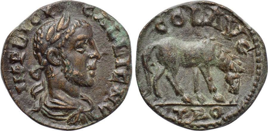 ANTİK SİKKELER NÜMİZMATİK_787800S (6).jpg