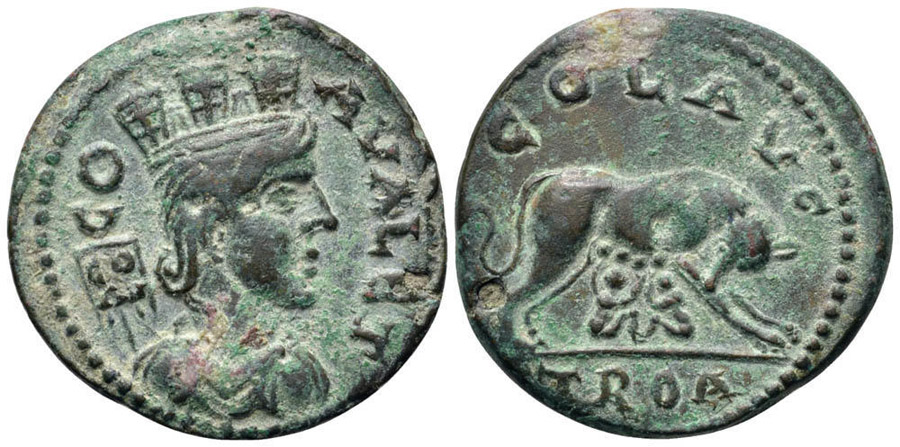 ANTİK SİKKELER NÜMİZMATİK_787800S (8).jpg