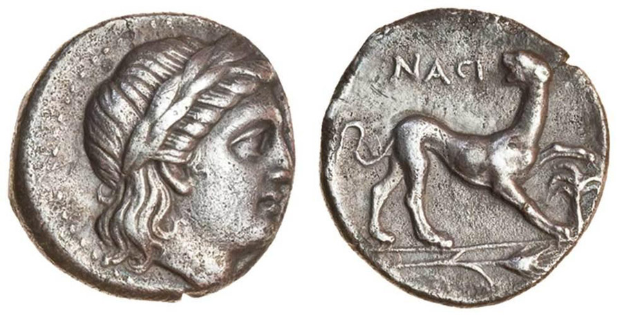 ANTİK SİKKELER NÜMİZMATİK_78F5X (8).jpg