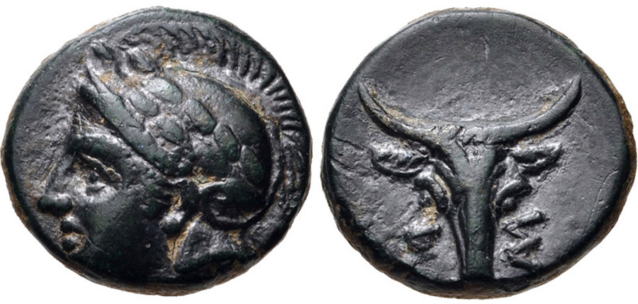 ANTİK SİKKELER NÜMİZMATİK_7h091d (2).jpg