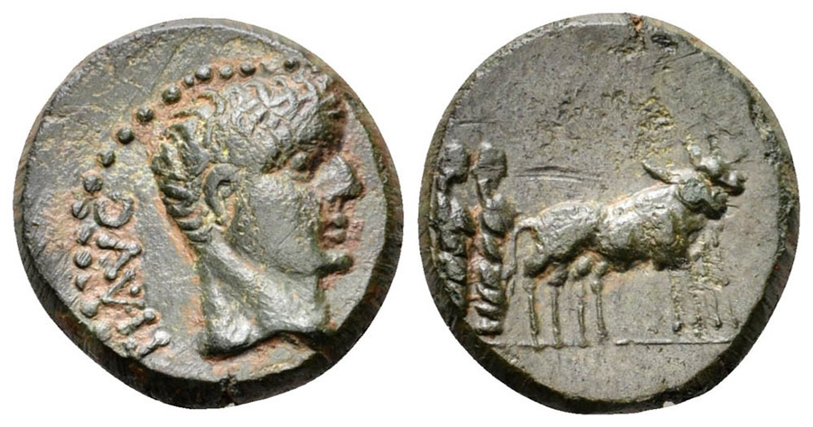 ANTİK SİKKELER NÜMİZMATİK_96GV (6).jpg