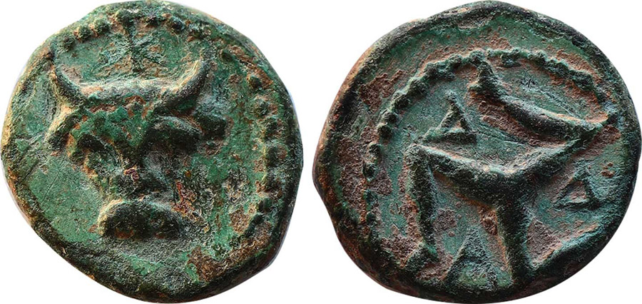 ANTİK SİKKELER NÜMİZMATİK_ADADA4 (6).jpg