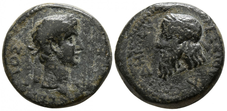 ANTİK SİKKELER NÜMİZMATİK_Adramytteion (7).jpg