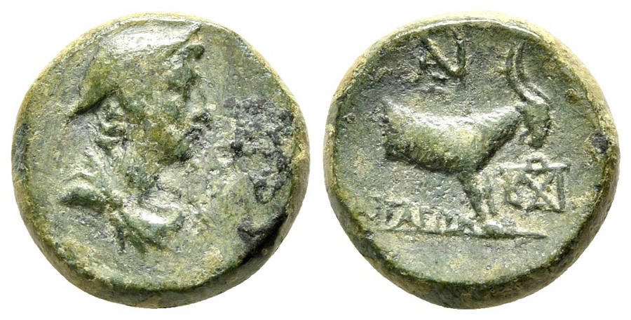 ANTİK SİKKELER NÜMİZMATİK_AGİ2 (3).jpg