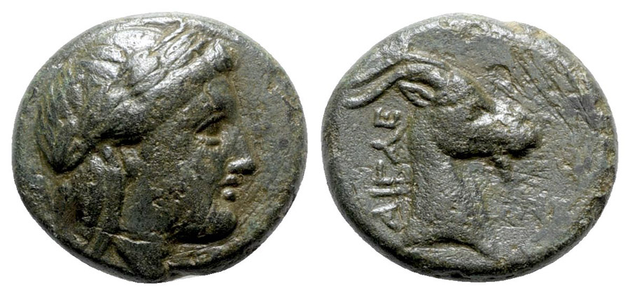 ANTİK SİKKELER NÜMİZMATİK_AGİ2 (8).jpg