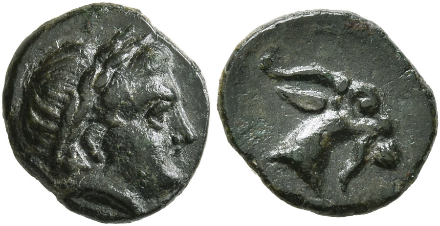 ANTİK SİKKELER NÜMİZMATİK_AGİ3 (10).jpg