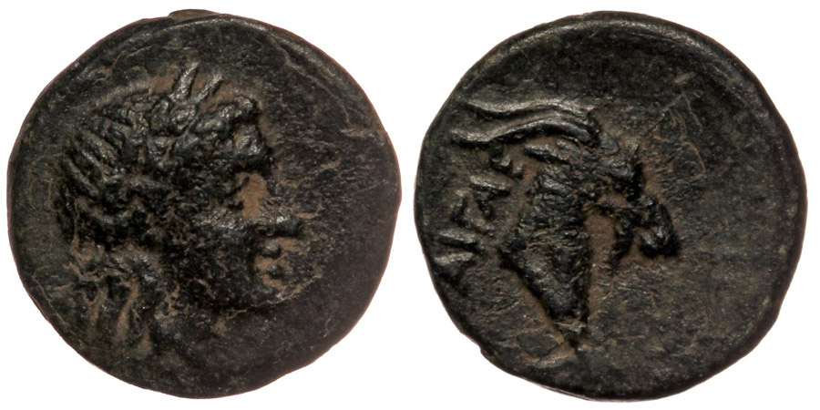 ANTİK SİKKELER NÜMİZMATİK_AGİ3 (4).jpg