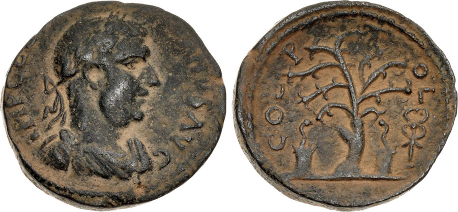 ANTİK SİKKELER NÜMİZMATİK_Akko Ptolemais3 (2).jpg