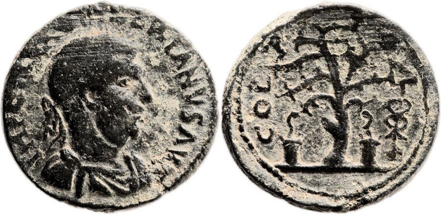 ANTİK SİKKELER NÜMİZMATİK_Akko Ptolemais5 (6).jpg