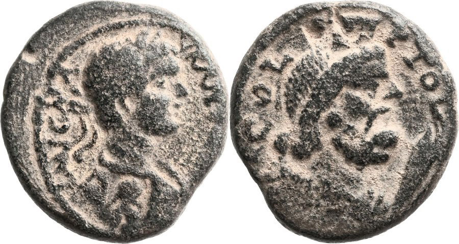 ANTİK SİKKELER NÜMİZMATİK_Akko Ptolemais5 (8).jpg