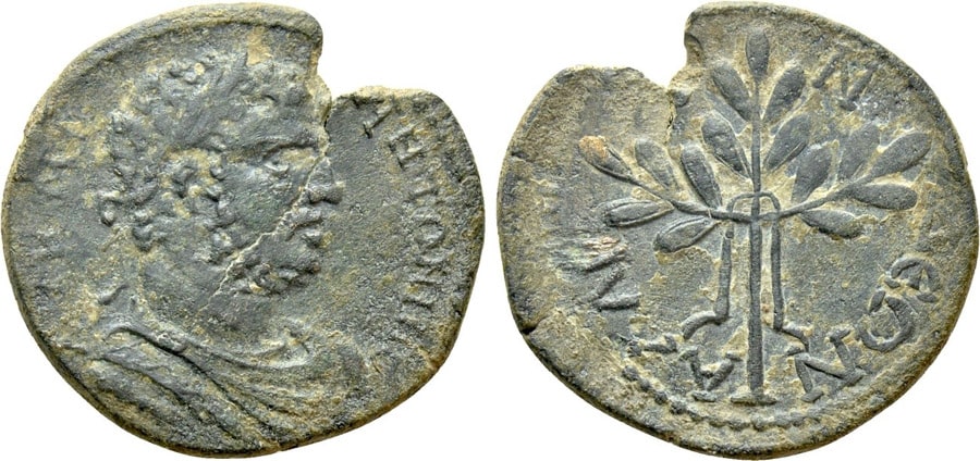 ANTİK SİKKELER NÜMİZMATİK_ΑΛΑΒΑΝΔΑ (10).jpg