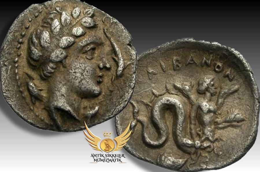 ANTİK SİKKELER NÜMİZMATİK_Allifae.jpg