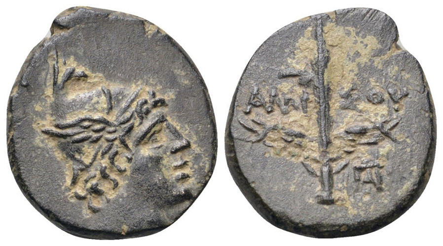 ANTİK SİKKELER NÜMİZMATİK_AMISOS12 (3).jpg