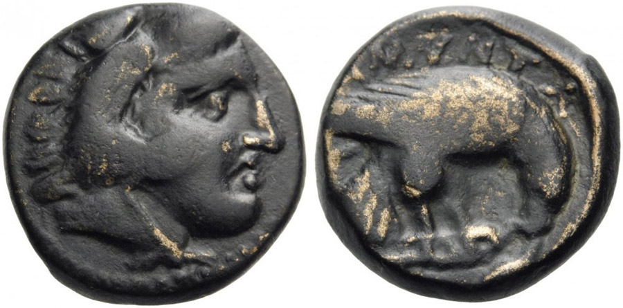 ANTİK SİKKELER NÜMİZMATİK_AMY3 (2).jpg